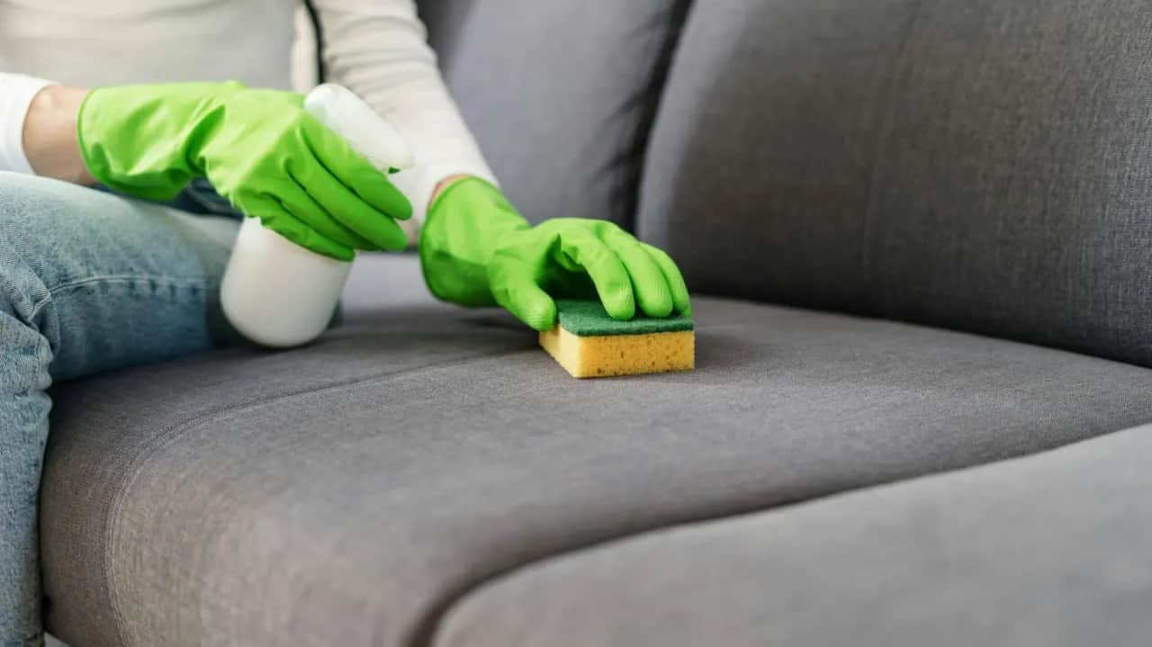 Jak pozbyć się sierści z kanapy? Skuteczne triki i profilaktyka